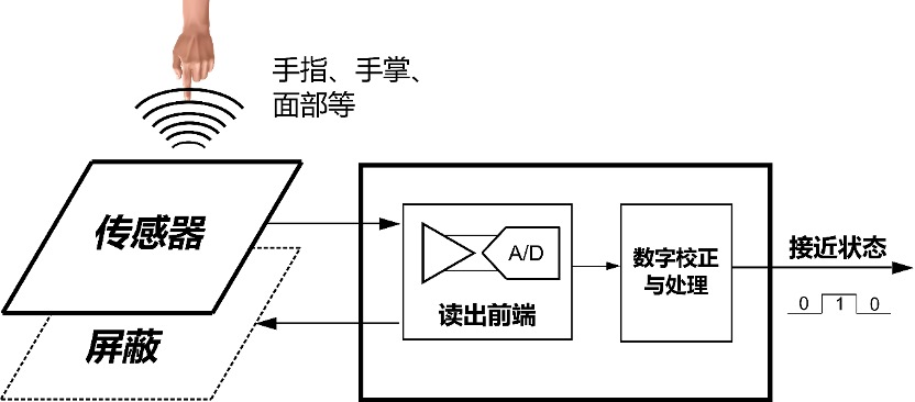 图片6